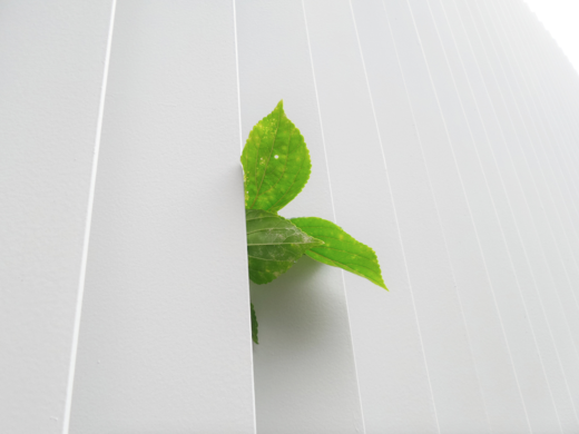 Apple Carbon Neutral hasta 2030   - ISELL & REPAIR
