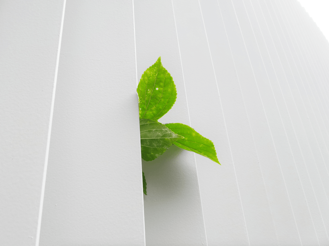 Apple Carbon Neutral até 2030 - ISELL & REPAIR
