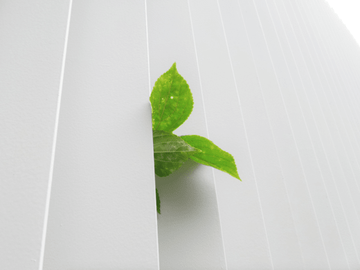 Apple Carbon Neutral hasta 2030   - ISELL & REPAIR