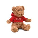 Ursinho de Natal - ISELL & REPAIR